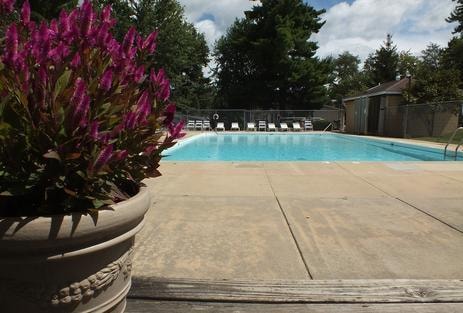 Community swimming pool at Knollwood Estates